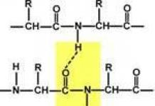 La valine est un acide aminé à chaîne ramifiée.