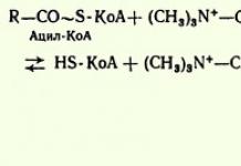Riebalų rūgščių oksidacija (β oksidacija)