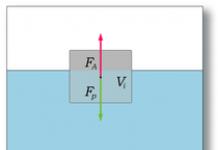 Buoyant force What does the law of Archimedes say