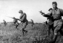 Оборона Ленинграда в ходе Великой Отечественной войны