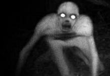 Grėblys a.k.a.  grėblys vyras - baisi istorija ir vaizdo įrašas!  Creature Rake: tikri susitikimai ir fantastika Informacija apie grėblio padarą