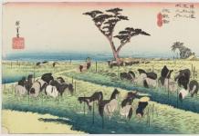 Genuri tradiționale de poezie japoneză