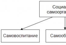 Хувь хүний ​​өөрийгөө зохион байгуулах үндэс нь үр ашгийн үндэс юм